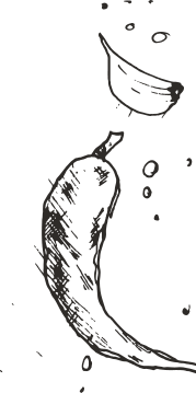 Decorative shape